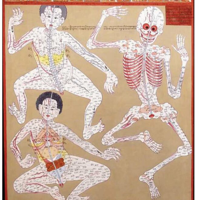 Buddhist anatomy